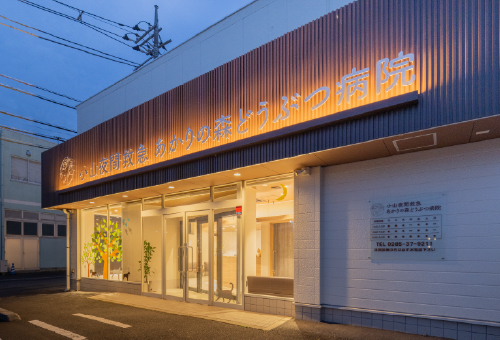 外観