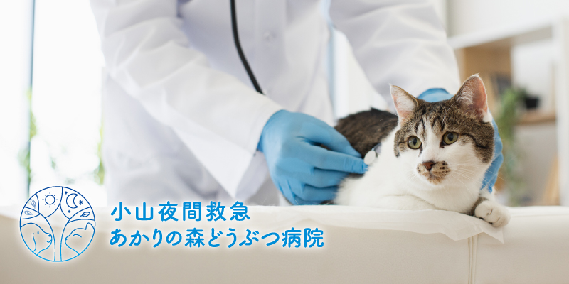 新規検査機器の導入について