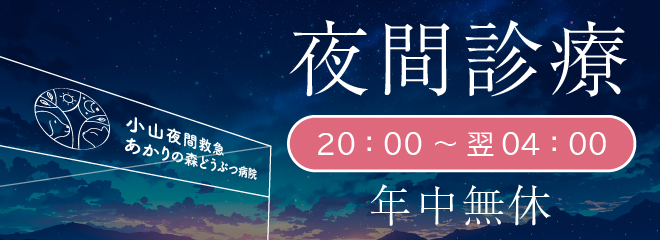 夜間診療
