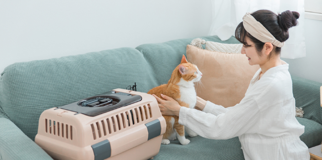 ペットの扱い・受診時の注意