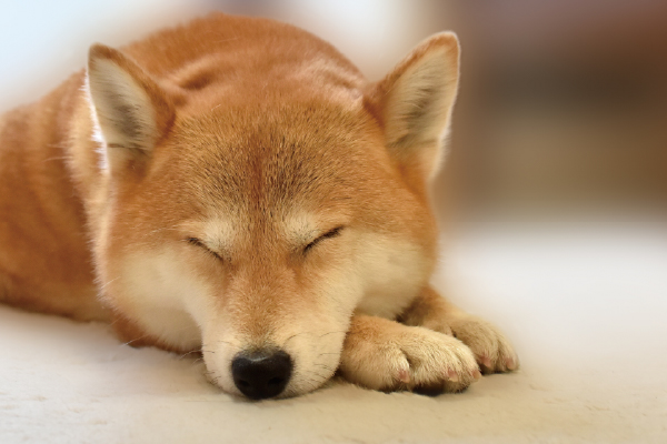 夜間診療のご相談