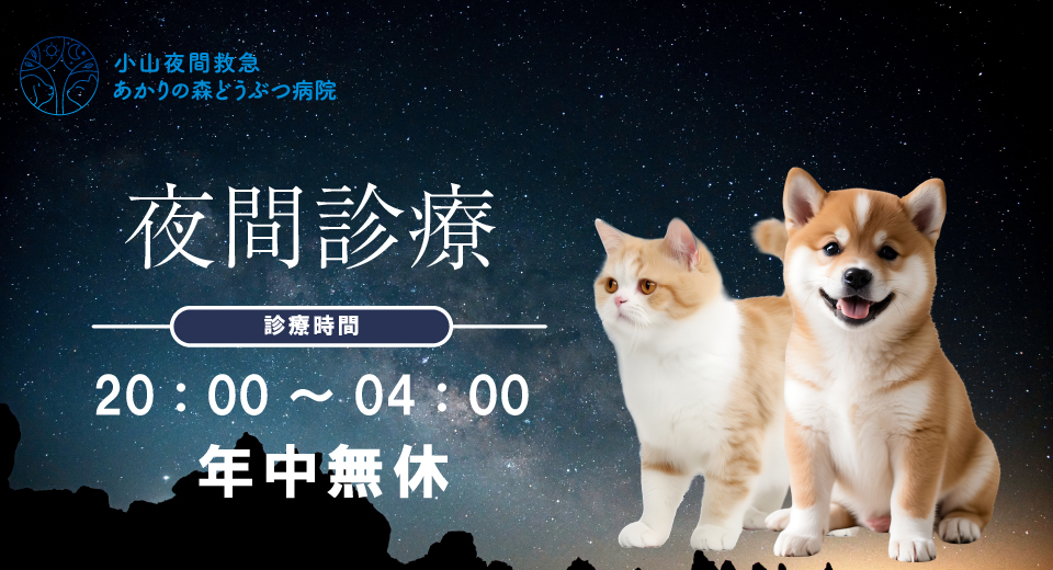 夜間受付