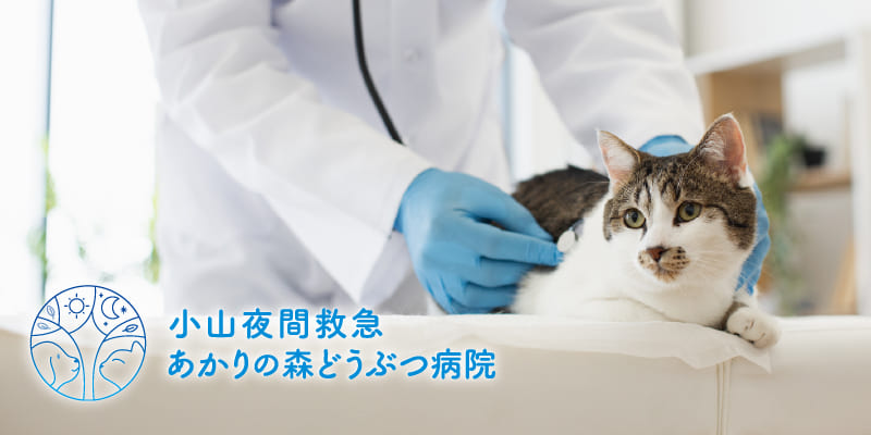 9月の日中休診日のお知らせ